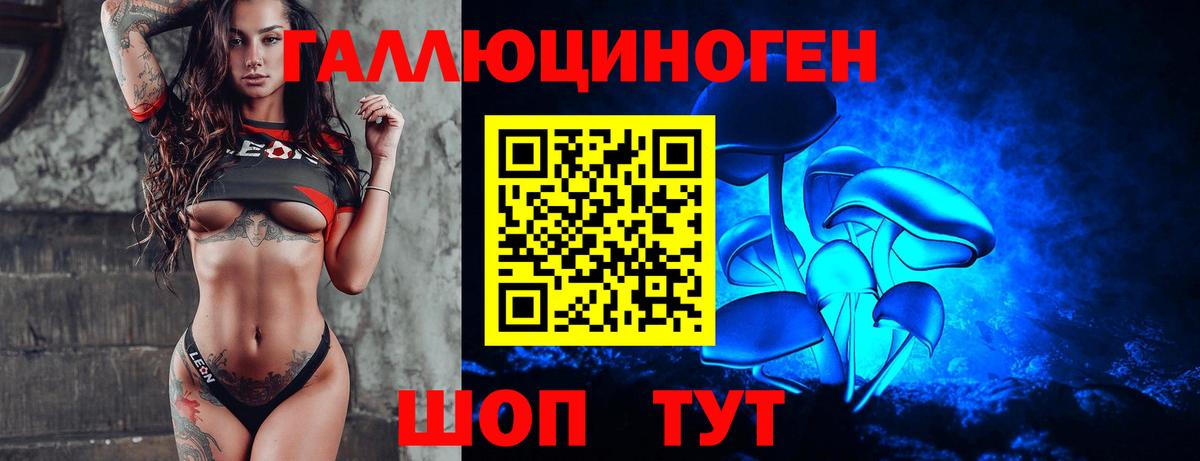 Галлюциногенные грибы прущие грибы Елабуга