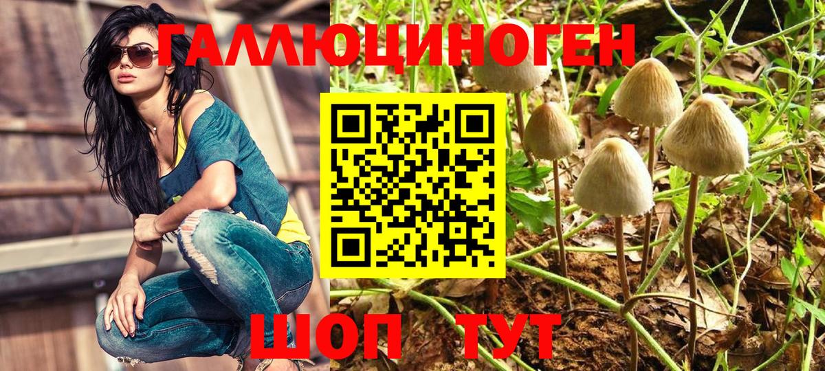 Елабуга  Псилоцибиновые грибы ЛСД  Псилоцибиновые грибы GOLDEN TEACHER  Вход с VPN 